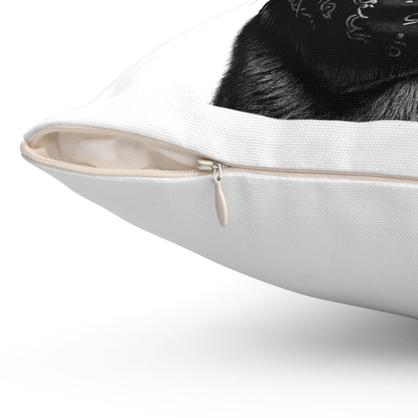 Cool Cat Decorative Pillow