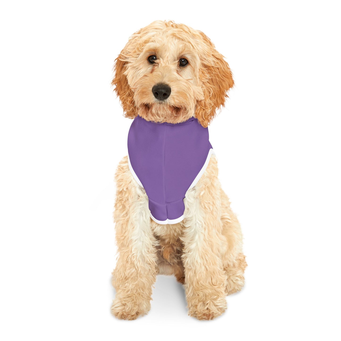 Stay Pawsitive Hoodie for Dogs & Cats