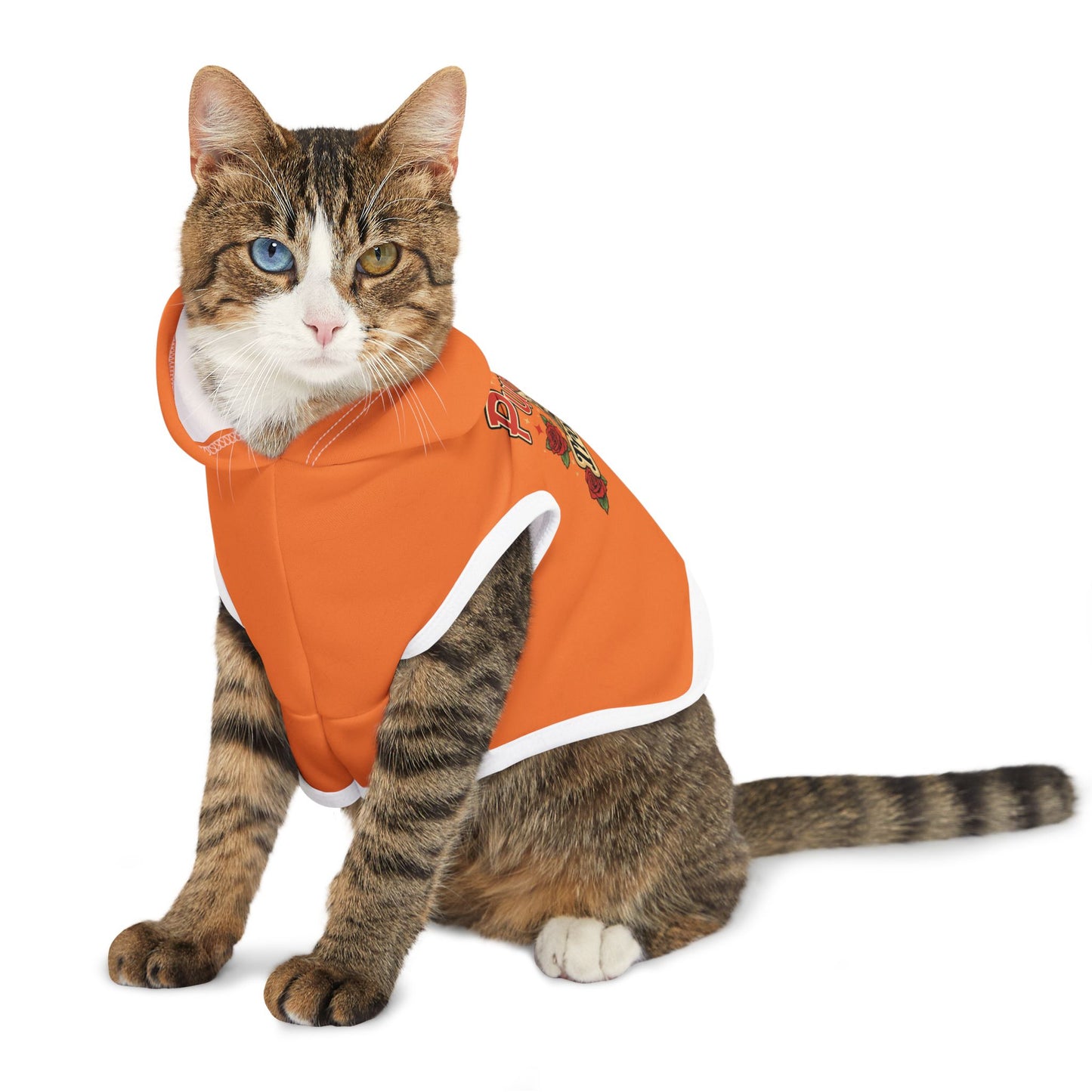 Purr-fect Trouble Pet Hoodie